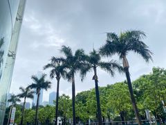 -天河体育中心