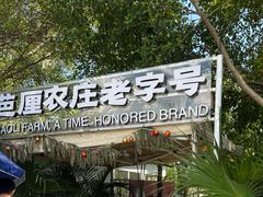 -芭厘·农庄老字号.电饭煲五指毛桃焗鸡