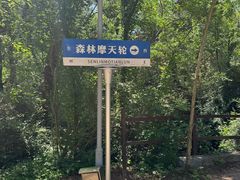 -日照海滨国家森林公园