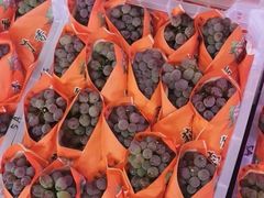 -双福水果批发市场