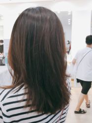-YESIDO椰岛造型