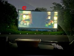 -枫花园汽车电影院(朝阳公园店)