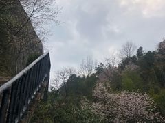 -玻璃桥景区石牛寨
