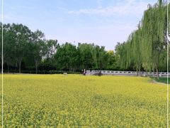 -北坞公园