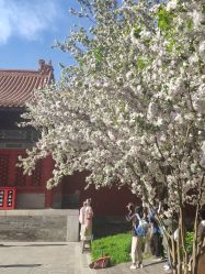 点击看大图 -美云庭古装·格格服汉服·京城旅拍(北京店)
