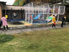 -洪湖家庭农场·团建·露营·会议