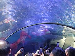 -洛阳龙门海洋馆