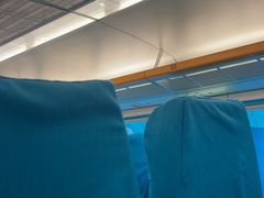 -龙阳路磁悬浮列车总站-停车场