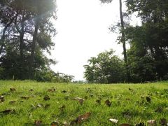 -铁山坪森林公园