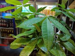-湘当爱·鲜煮现炒(松岗立业路店)