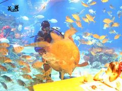 -海棠湾洲际-涛·海底餐厅·美人鱼·自助餐·海底隧道