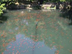 -普陀山慧济禅寺