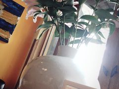 -柳湖小筑青年旅舍