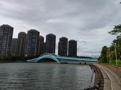 -五缘湾湿地公园