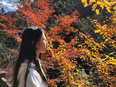 -凤凰山国家森林公园