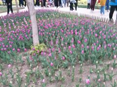 景点-长春公园(普阳街道)