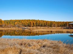 -塞罕坝国家级自然保护区