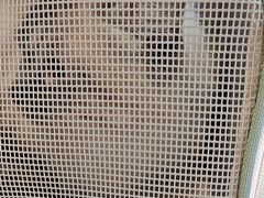 -悦宠凯宝动物医院·牙科·皮肤科(朝阳北路店)