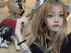 -Husky Go! 哈士奇体验馆·宠物咖啡厅狗咖