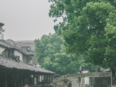 -乌镇东栅景区