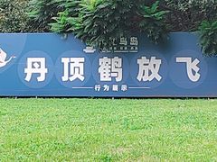 -沈阳鸟岛