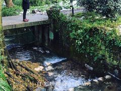 -法云安缦酒店