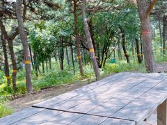 -北京西山国家森林公园