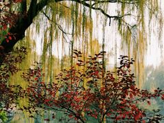 -北京动物园-畅观楼