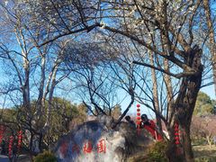 -无锡梅园公园
