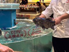 -魏铭鱼头捞饭(晋阳路店)