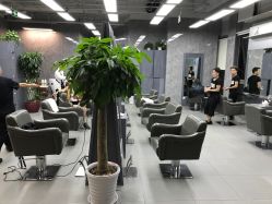 -INS羽毛接发·巴黎画染