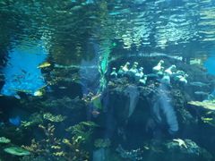 -华夏文旅海洋公园