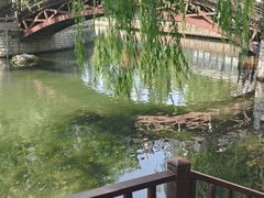 -环城公园