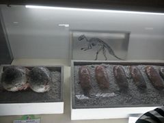 -诸城市恐龙博物馆