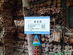 -呀路古热带植物园