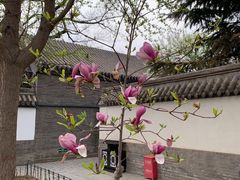 -保定直隶总督署博物馆