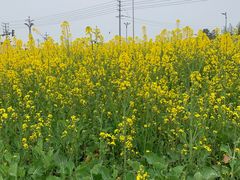 -中国天府农业博览园