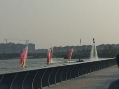 -武清南湖绿博园