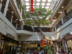 -广州酒家(文昌总店)