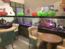 -可爱多国际儿童摄影会馆(龙泉店)