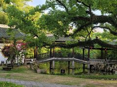 -江心屿景区