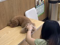 -瑞鹏宠物医院微创手术中心(西乡分院)