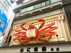 -蟹道乐(道顿堀本店)