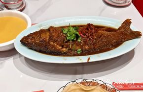 Eastern Vinegar Fish