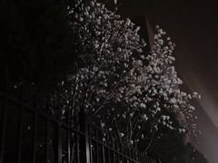 -梨园(地铁站)