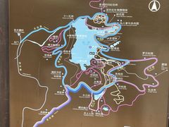 -深圳仙湖植物园