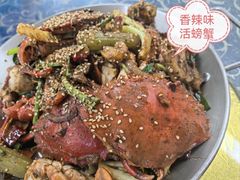-金螃蟹