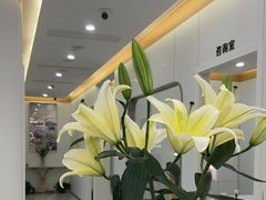 -皓齿连锁·雅贝健口腔·种植·矫正中心(虹口曲阳路店)