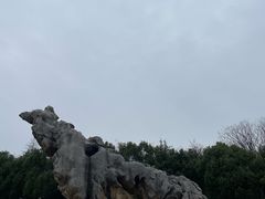 -南京市江宁方山
