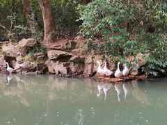 -兰亭风景区